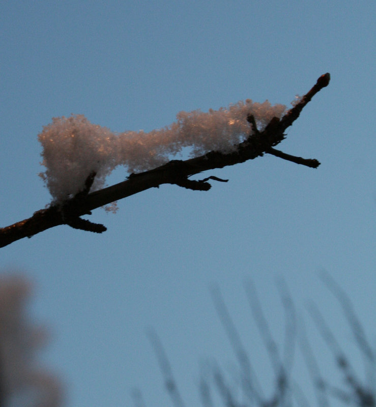 schneeraupe - caterpillar