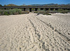 Trestles Beach (9178)