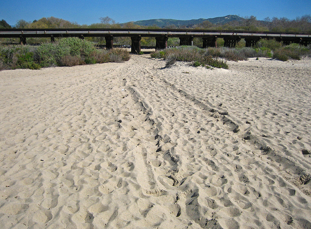 Trestles Beach (9178)