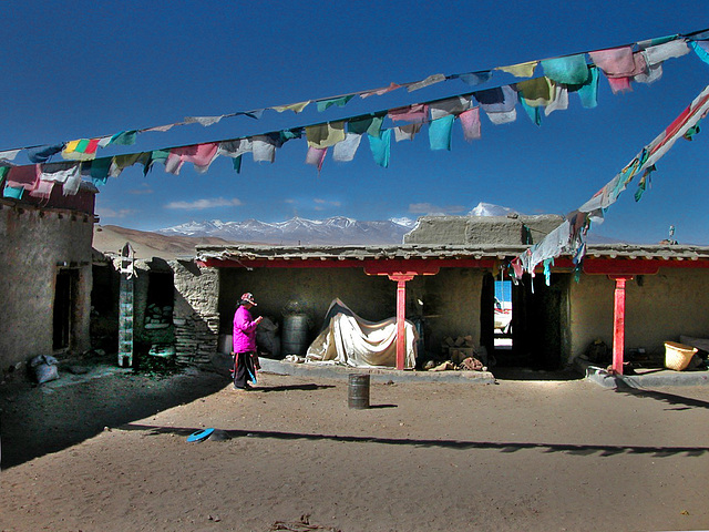 Inside the Seralung Gompa ...