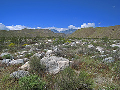 Mission Creek Preserve (0618)