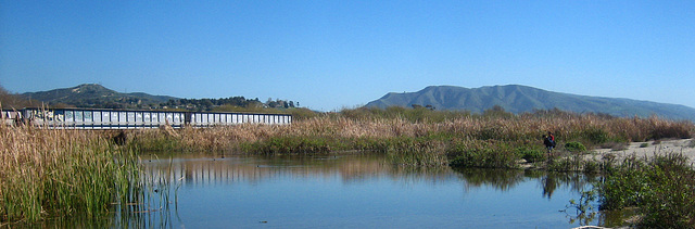 Lagoon at Trestles (9180)