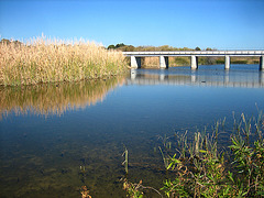 Lagoon at Trestles (9182)