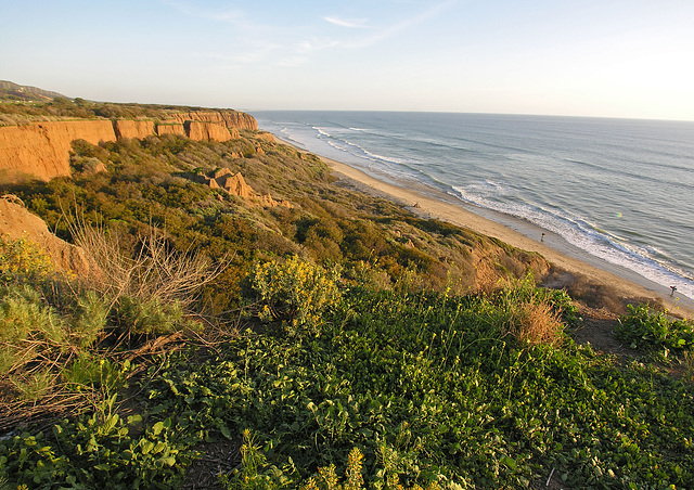 San Onofre Beach From Trail 1 (7104)