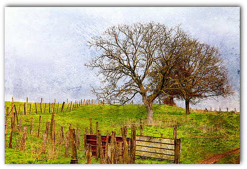 douceur du printemps