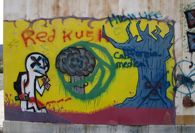 Graffiti Near Desert Center (4319)