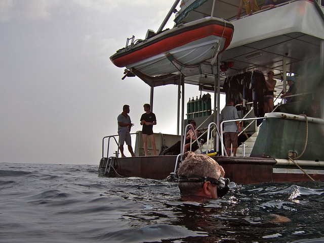 Dive up at boats stern