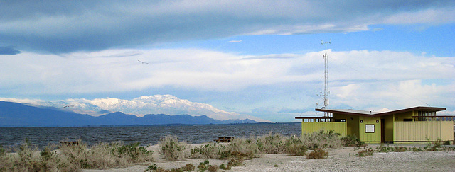 Snow on Mt San Jacinto (0217)