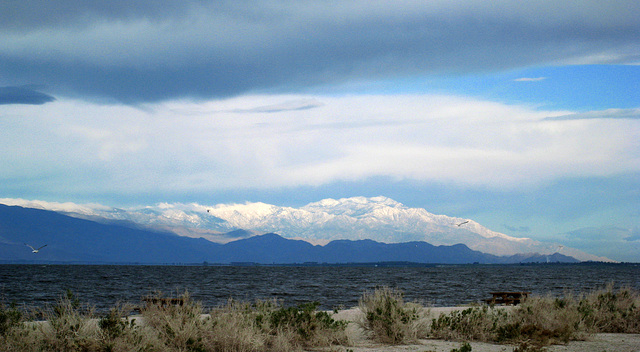 Snow on Mt. San Jacinto (0218)