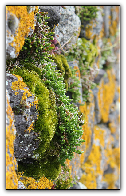 Croissances en cascades