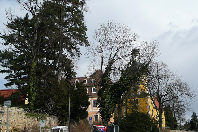 Kamelienblütenschau imBarockschloß Zuschendorf - Pirna