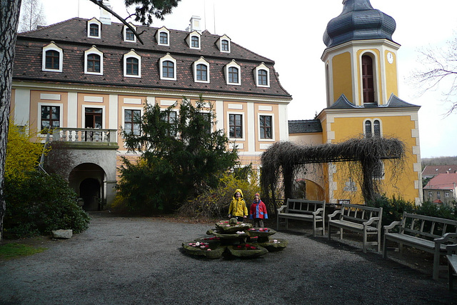 Kamelienblütenschau im Barockschloß Zuschendorf - Pirna