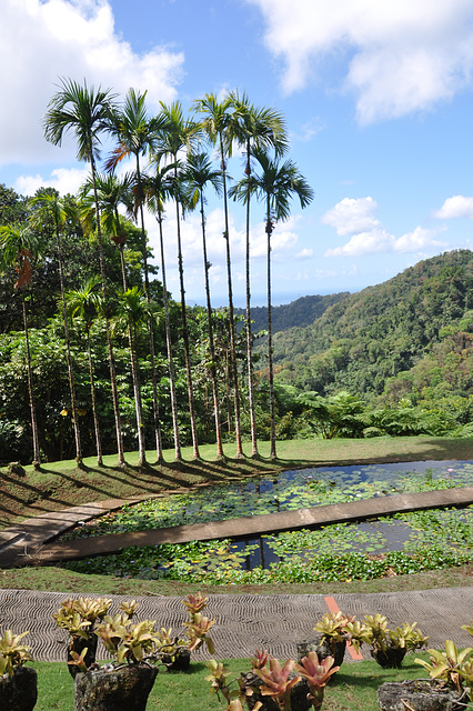 MARTINIQUE