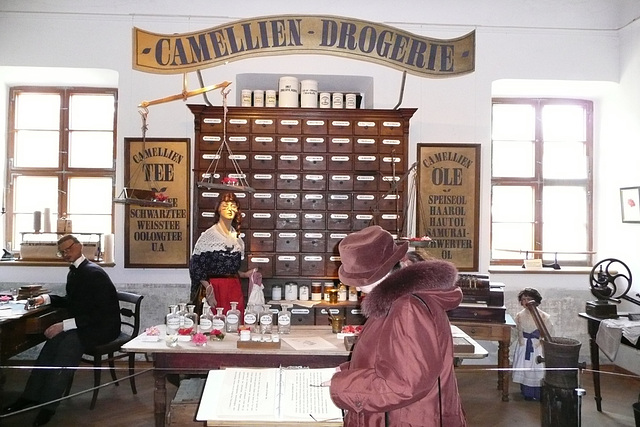 Kamelienblütenschau im Barockschloß Zuschendorf - Pirna