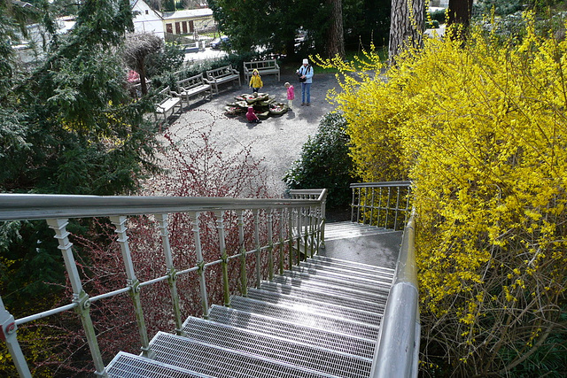 Kamelienblütenschau im Barockschloß Zuschendorf - Pirna