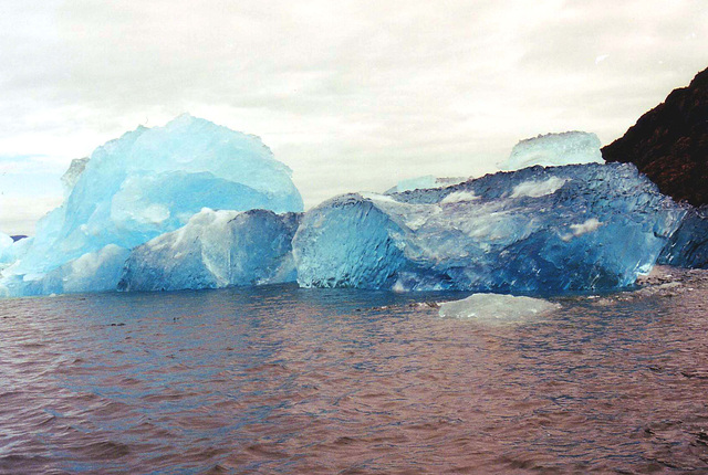 Iceberg