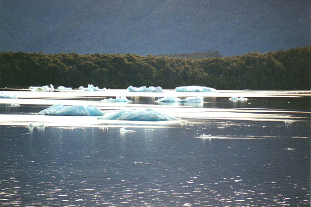 les canaux de la Lagune