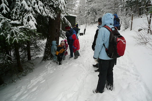 Schnee bei Geising