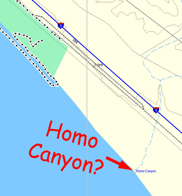 Homo Canyon