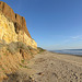 San Onofre (7095)
