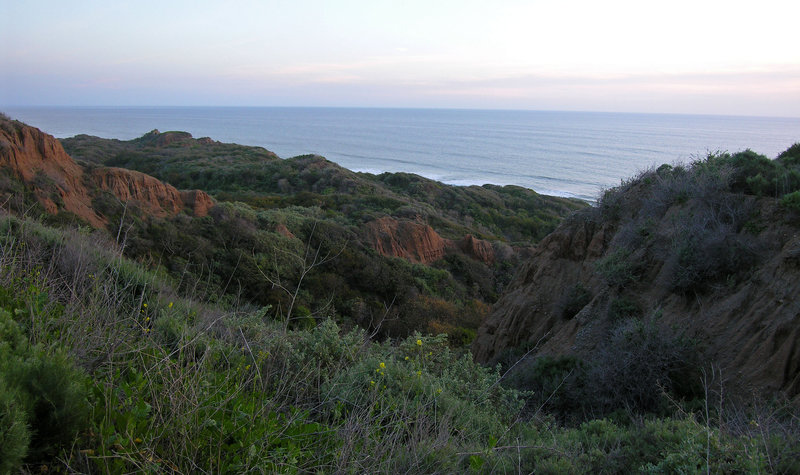 San Onofre (7111)