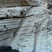 Mosaic Canyon (3123)