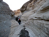 Mosaic Canyon (3154)