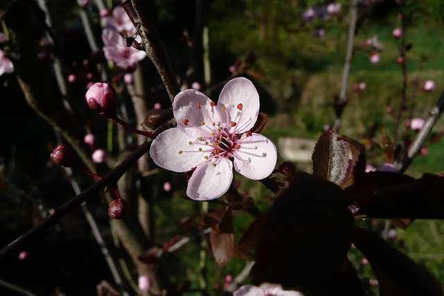 Nach dem Schnee