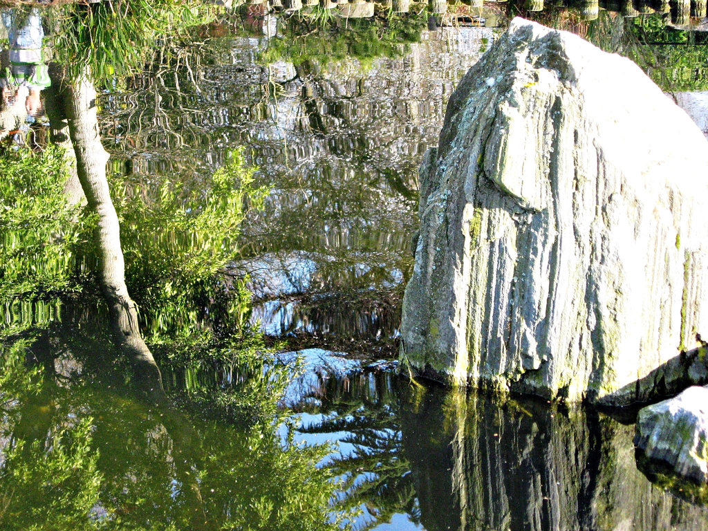 In the Kyoto Garden