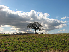 Eine "Winterlandschaft"