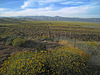Highland Falls Back Fence (0556)