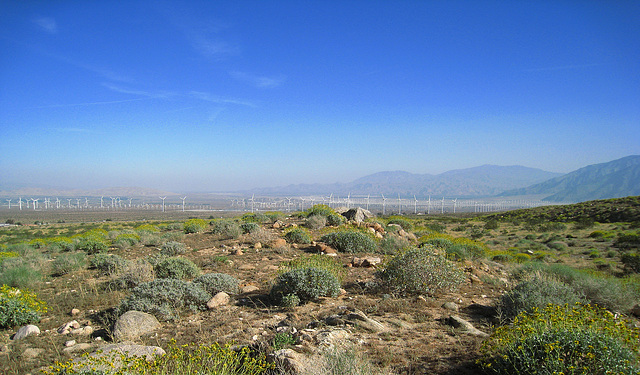 Coachella Valley (0500)