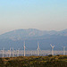 Windmills (0558)