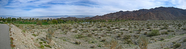 View Of The Reserve