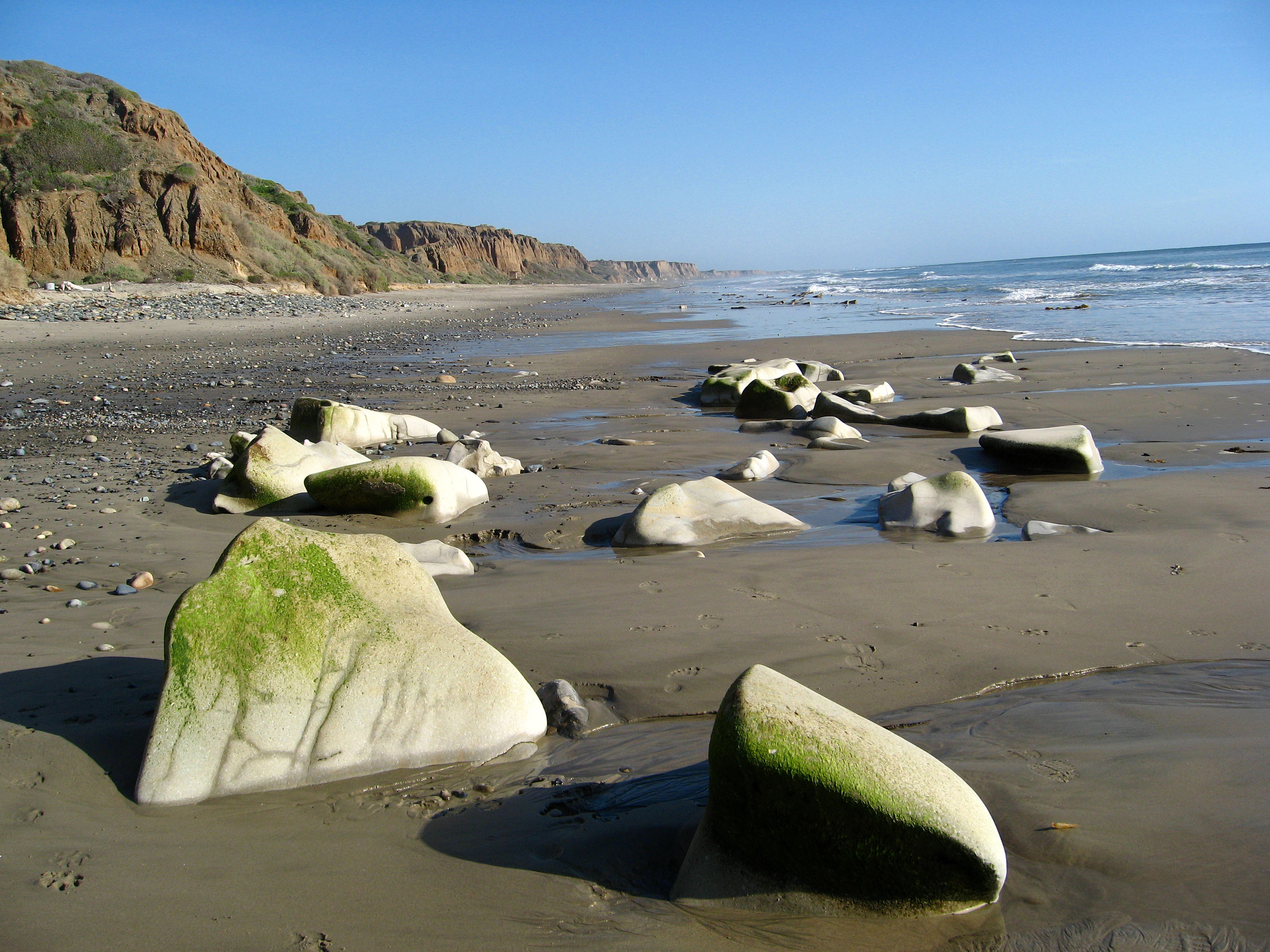 San Onofre Beach (1342)