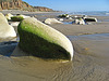 San Onofre Beach (1343)