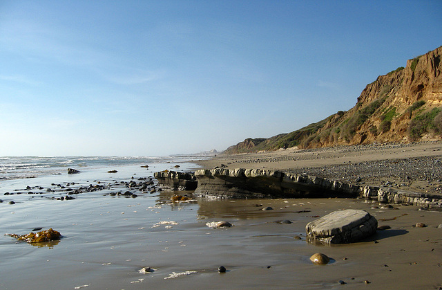 San Onofre Beach (1344)