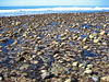 San Onofre Beach (9187)