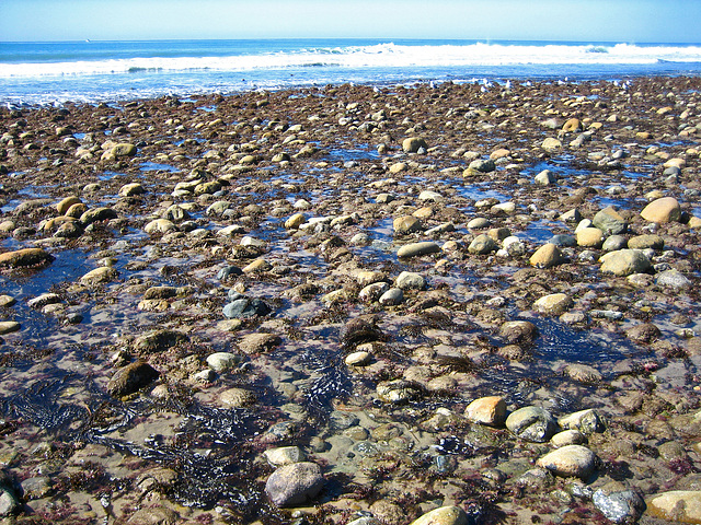 San Onofre Beach (9187)