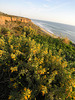 San Onofre Beach From Trail 1 (7105)