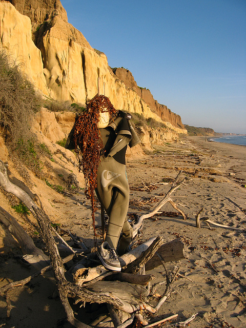 San Onofre Beach Junk Art (1372)