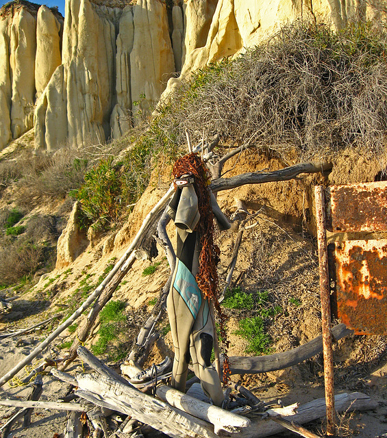 San Onofre Beach Trash Art (1371)