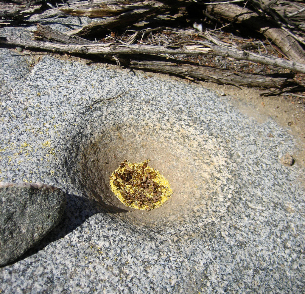 Corn Spring Metate (9046)