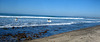 Surfers at Trestles (9188)