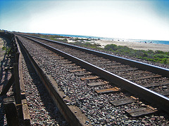 Trestles (9173)