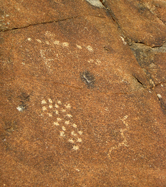 Corn Spring Petroglyph (1236)