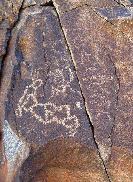 Corn Spring Petroglyph (1242)