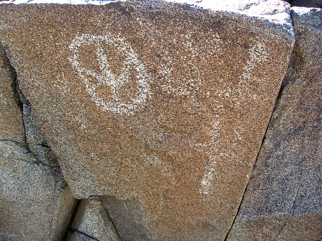 Corn Spring Petroglyph (1245)