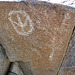 Corn Spring Petroglyph (1245)