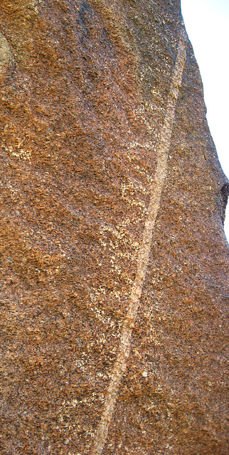 Corn Spring Petroglyph (1248)